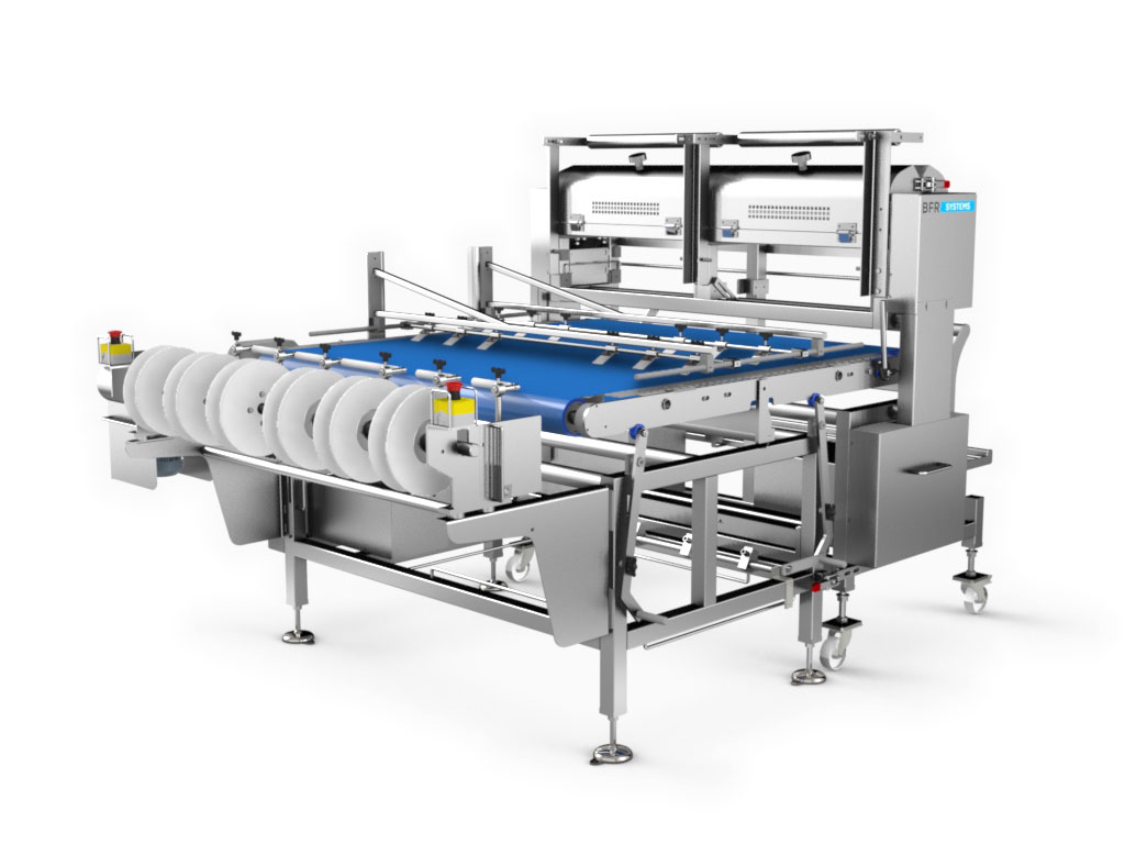 Scarificateur de surimi