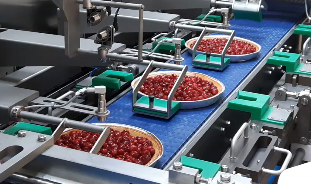 Machine de découpe de tartes automatique - ERMA 1200P